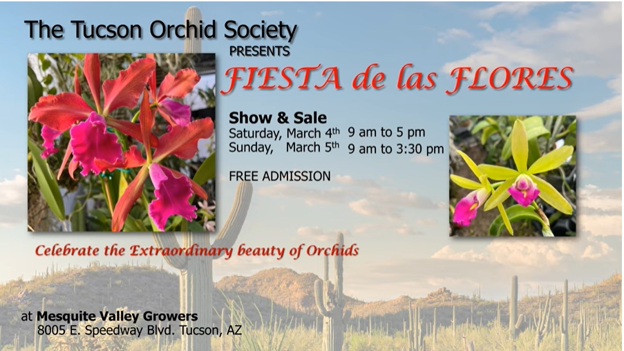 Tucson Orchid Society show ad March 4-5 Mesquite Valley Growers Tucson AZ