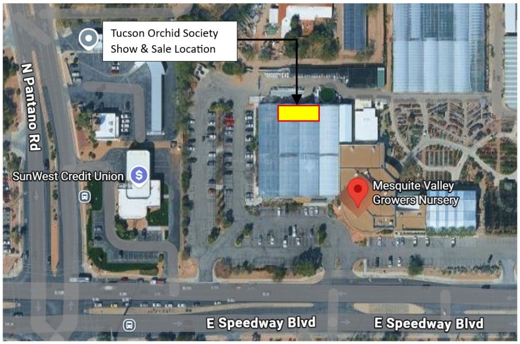 Orchid show location